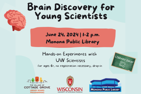 Brain Discovery for Young Scientists