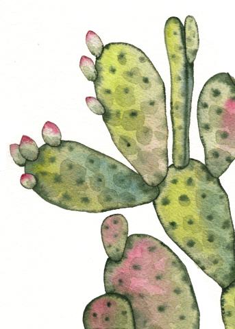 watercolor cacti