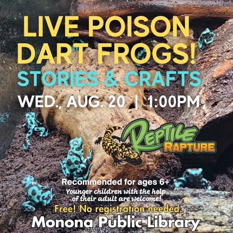 live poison dart frogs stories and crafts