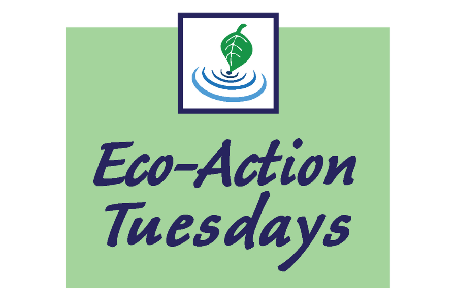 Eco-Action Tuesdays logo over a green box