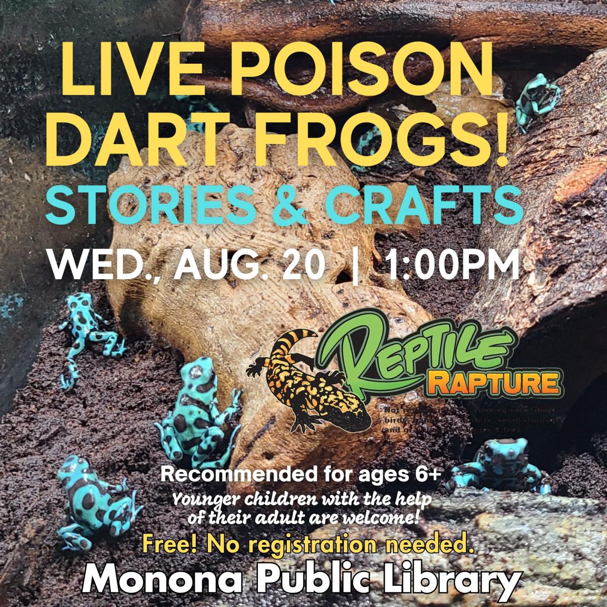 live poison dart frogs stories and crafts